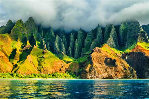 Embracing the Healing Powers of Seaward Kauai's Seaweed